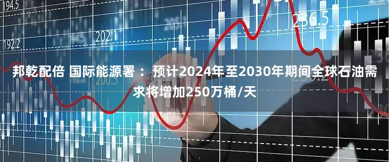 邦乾配倍 国际能源署 ：预计2024年至2030年期间全球石油需求将增加250万桶/天