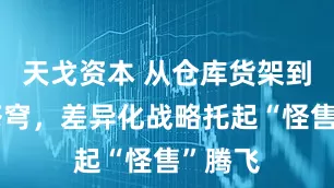 天戈资本 从仓库货架到云端苍穹，差异化战略托起“怪售”腾飞
