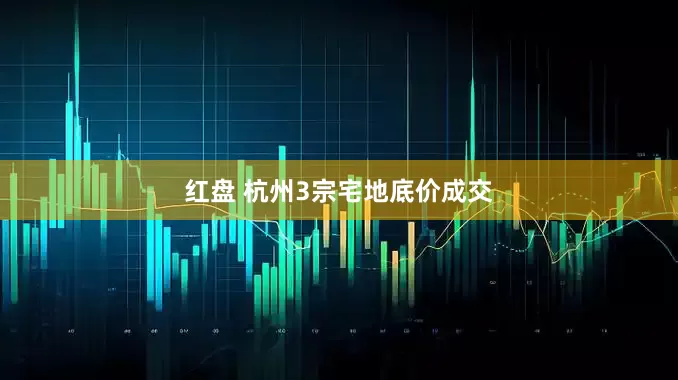 红盘 杭州3宗宅地底价成交