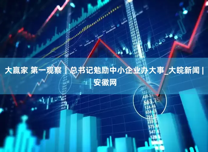 大赢家 第一观察｜总书记勉励中小企业办大事_大皖新闻 | 安徽网