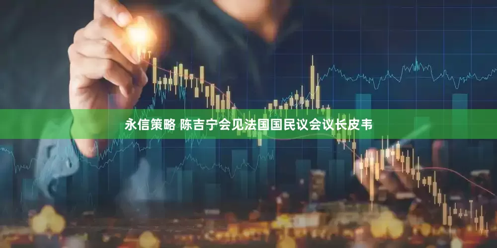 永信策略 陈吉宁会见法国国民议会议长皮韦