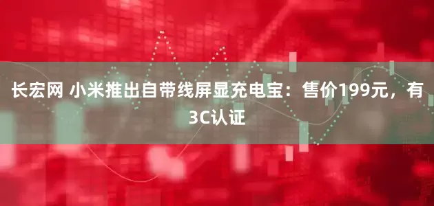 长宏网 小米推出自带线屏显充电宝：售价199元，有3C认证