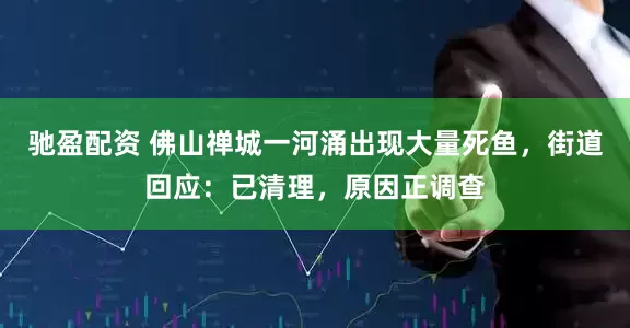 驰盈配资 佛山禅城一河涌出现大量死鱼，街道回应：已清理，原因正调查
