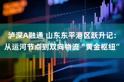 泸深A融通 山东东平港区跃升记：从运河节点到双向物流“黄金枢纽”