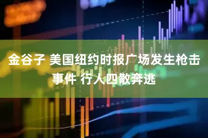 金谷子 美国纽约时报广场发生枪击事件 行人四散奔逃