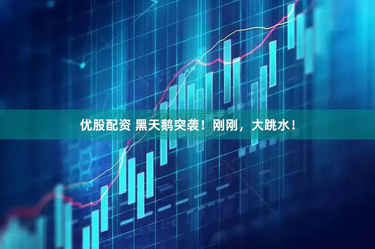 优股配资 黑天鹅突袭！刚刚，大跳水！
